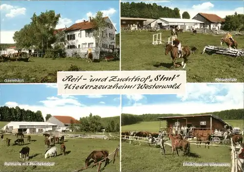 Niederzeuzheim Reithof Zuchthof Strut Kat. Hadamar