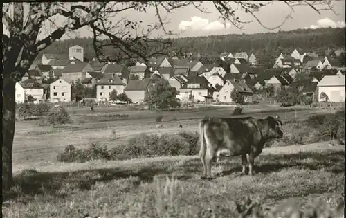 Dorndorf Limburg Lahn Teilansicht Kuh Kat. Dornburg