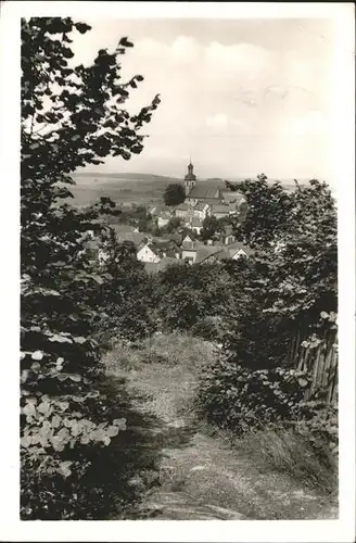 Haintchen Panorama Kat. Selters (Taunus)