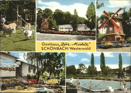 Schoenbach Dillkreis Gasthaus Zur Muehle Tiergehege Muehle Schwimmbad Kat. Herborn