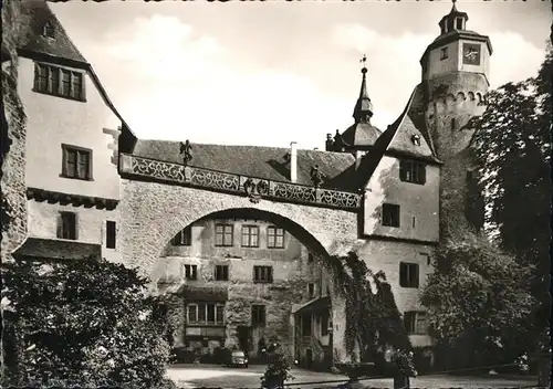 Steinbach Michelstadt Schloss Fuerstenau Kat. Michelstadt