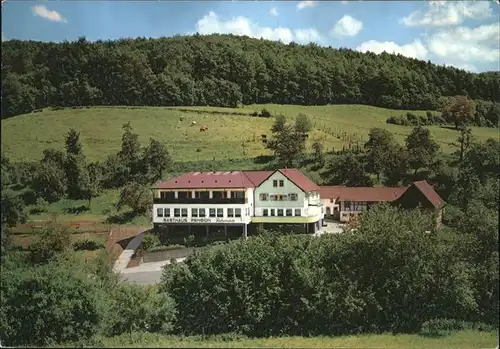 Ober-Kainsbach Gasthaus Pension Zum Hohenstein Kat. Reichelsheim (Odenwald)