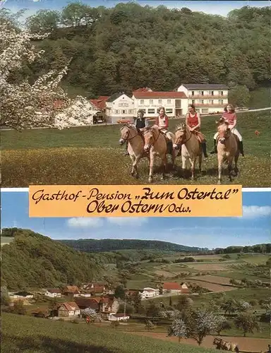 Ober-Ostern Gasthof Pension Zum Ostrtal Pferde Reiterinen Kat. Reichelsheim (Odenwald)