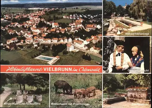 Vielbrunn Odenwald Tracht Dorfbrunnen Wassertretanlage Wildschweine Frischlingen Altgermanische Richtstaette Kat. Michelstadt