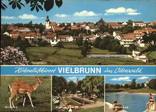 Vielbrunn Schwimmbad Wildpark Kenipp Anlagen Kat. Michelstadt