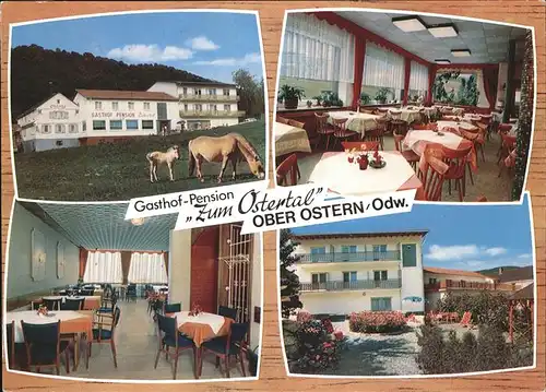 Ober-Ostern Gasthof Pension Zum Ostertal Pferde Kat. Reichelsheim (Odenwald)