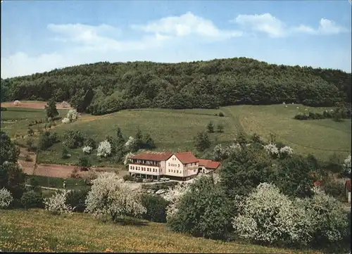 Ober-Kainsbach Gasthaus Zum Hohenstein Kat. Reichelsheim (Odenwald)