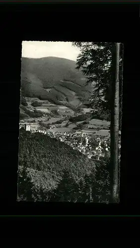 Waldkirch Breisgau Kastelburg Kandel Kat. Waldkirch