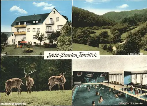Huemmerich Westerwald Hotel Fernblick Hallenbad / Huemmerich /Neuwied LKR