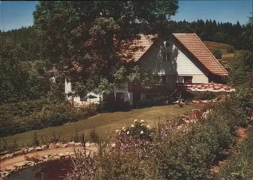 Hogschuer Pension Haus Bach Kat. Herrischried