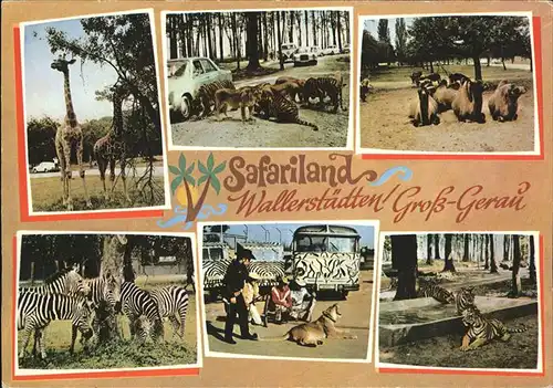 Gross Gerau Safariland Wallerstaedten Tiere Kat. Gross Gerau