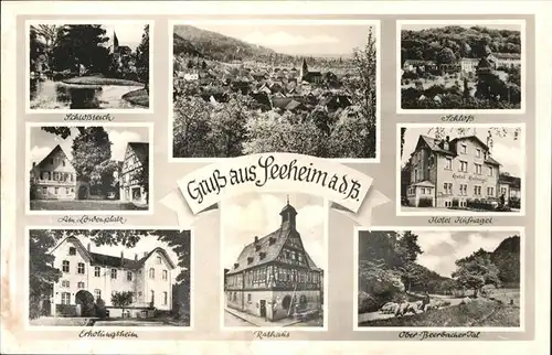 Seeheim-Jugenheim Erholungsheim Schloss Teich / Seeheim-Jugenheim /Darmstadt-Dieburg LKR