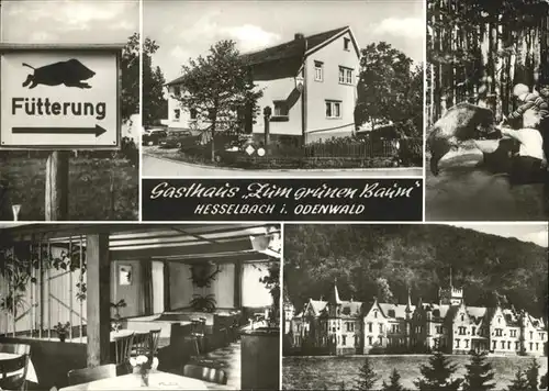 Hesselbach Odenwald Gasthaus Zum gruenen Baum Kat. Hesseneck