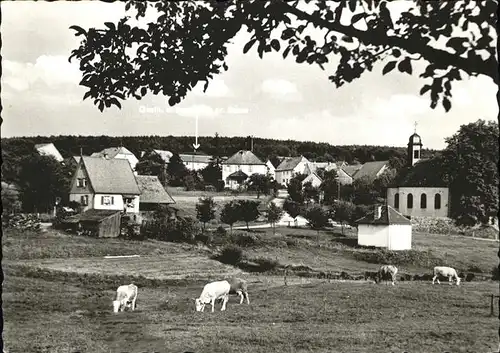 Hesselbach Odenwald Gasthaus Pension Zum gruenen Baum Kat. Hesseneck