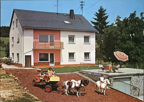 Schweighausen Nassau Pension Ludwig Kinder Ponny Kat. Schweighausen