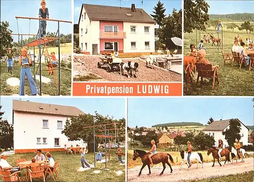 Schweighausen Nassau Pension Ludwig Kinder Pferde Spielplatz Kat. Schweighausen