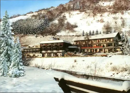Weinaehr Hotel Weinhaus Treis im Schnee Kat. Weinaehr