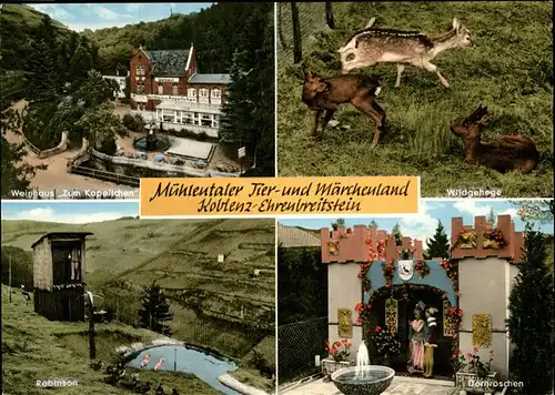 Ehrenbreitstein Muehltaler Tier und Maerchenland Wild Kat. Koblenz