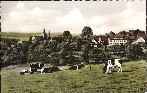 Dhuenn Wermelskirchen Weide Kuehe Kat. Wermelskirchen