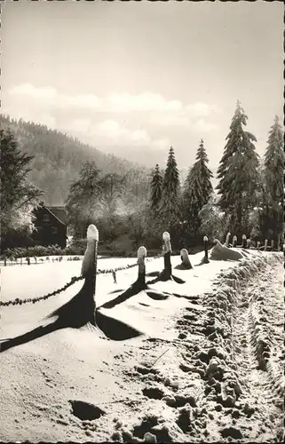 Willingen Sauerland Wintersportplatz / Willingen (Upland) /Waldeck-Frankenberg LKR