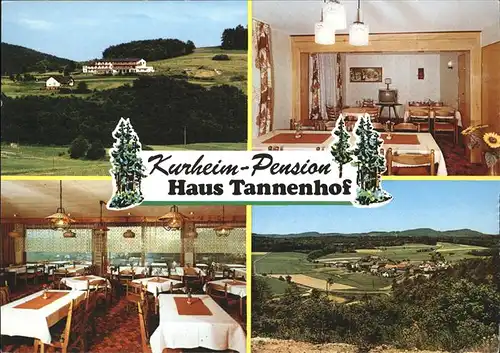 Gladenbach Kurheim Pension Haus Tannenhof Kat. Gladenbach