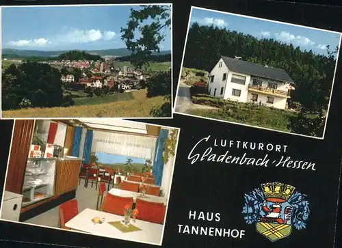 Gladenbach Wappen Haus Tannenhof Kat. Gladenbach