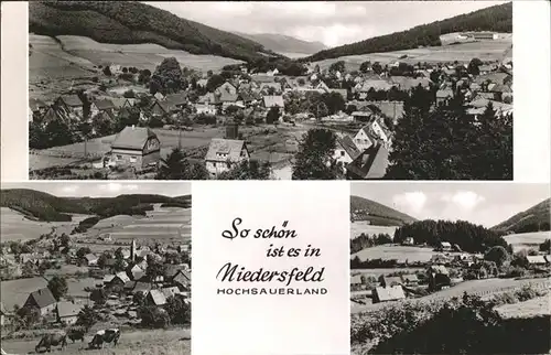 Niedersfeld  Kat. Winterberg