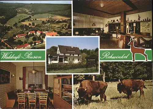 Warburg Westfalen Waldcafe Pension Rehwinkel Bison Flugaufnahme Kat. Warburg