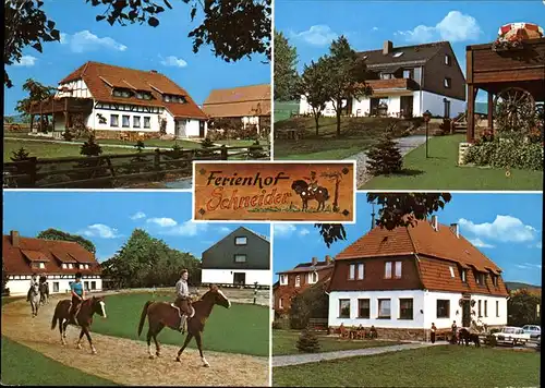 Heimarshausen Ferienhof Schneider Pferdehof Pferde Kat. Naumburg