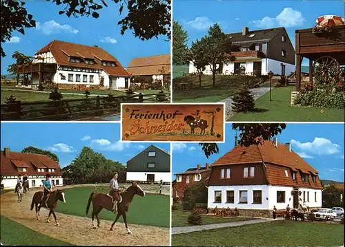 Naumburg Hessen Ferienhof Schneider Pferdehof Pferde Kat. Naumburg