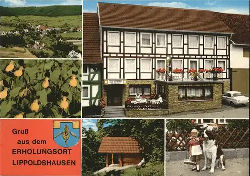 Lippoldshausen Wappen Erholungsort Fachwerkhaus Kat. Hann. Muenden