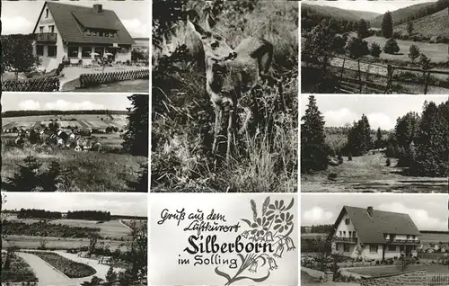 Silberborn Solling Reh Kat. Holzminden