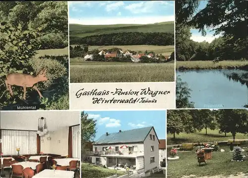 Hinterwald Gasthaus Pension Wagner Muehlental Reh Kat. Buehlerzell