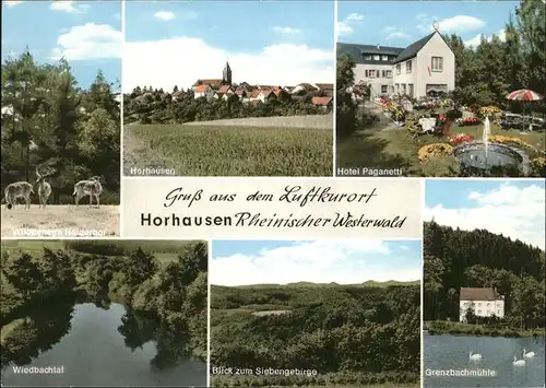 Horhausen Westerwald Hotel Paganetti Grenzbachmuehle Siebengebirge Hirsche Kat. Horhausen (Westerwald)
