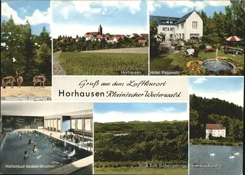 Horhausen Westerwald Grenzbachmuehle Siebengebirge Hotel Paganetti Hirsch Kat. Horhausen (Westerwald)