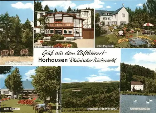 Horhausen Westerwald Wildgehege Grenzbachmuehle Hotel Paganetti Kat. Horhausen (Westerwald)