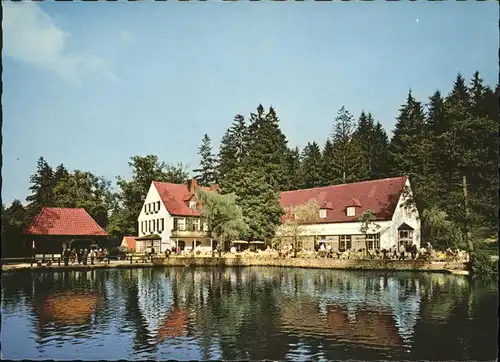 Leopoldstal Lippe Waldhotel Silbermuehle Kat. Horn-Bad Meinberg