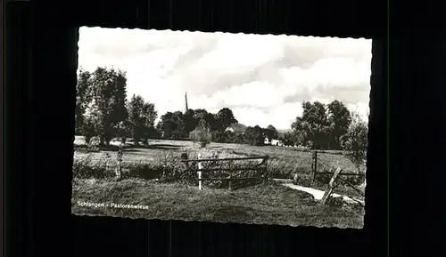 Schlangen Lippe Pastorenwiese Kat. Schlangen