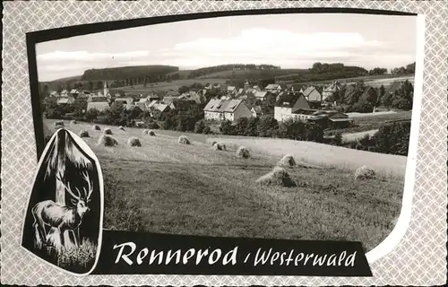 Rennerod Hirsch / Rennerod /Westerwaldkreis LKR