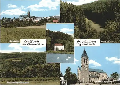 Horhausen Westerwald St. Maria Magdalena Kirche Blick ins Siebengebirge Grenzbachtal Schwanenteich Kat. Horhausen (Westerwald)