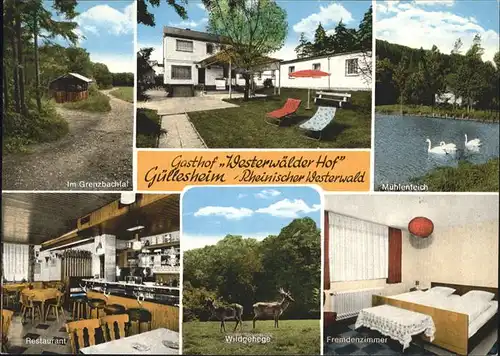 Guellesheim Gasthof Westerwaelder Hof Grenzbachtal Muehlenteich Wildgehege Kat. Guellesheim