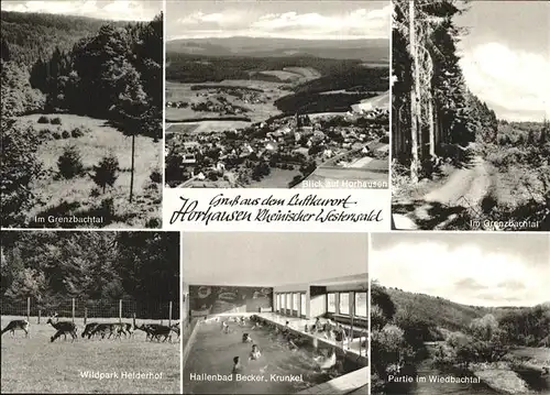 Horhausen Westerwald Luftaufnahme Horhausen Grenzbachtal Wildpark Heiderhof Wiedbachtal Hallenbad Kat. Horhausen (Westerwald)