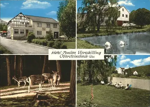 Obersteinebach Hotel Pension Vierschilling Wildpark Schwanenteich Kat. Obersteinebach