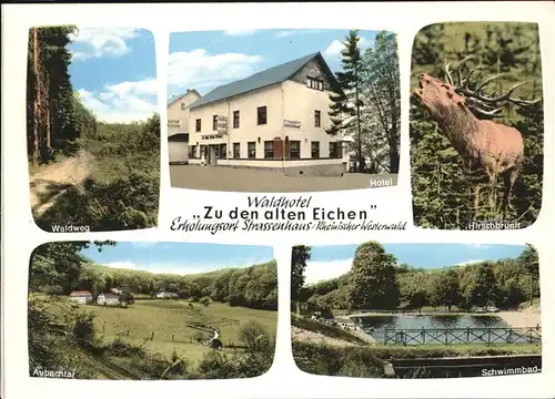Strassenhaus Waldhotel Aubachtal Schwimmbad Hirschbrunft Kat. Strassenhaus