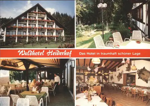 Obersteinebach Waldhotel Pension Heiderhof Kat. Obersteinebach