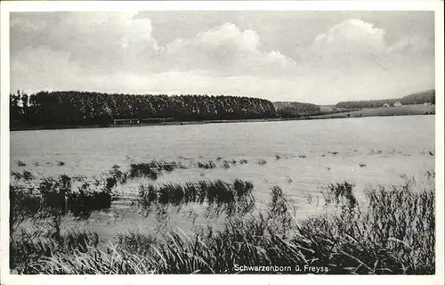 Freysa Umland Schwarzenborn See Kat. Schwarzenborn