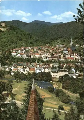 Biedenkopf Teilansicht Biedenkopf Schloss Stadtkirche Kat. Biedenkopf