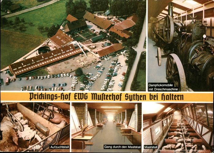 Sythen Prickings Hof Westfaelischer EWG Musterhof Luftaufnahme