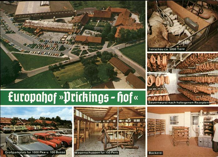 Sythen Prickings Hof Westfaelischer EWG Musterhof Luftaufnahme