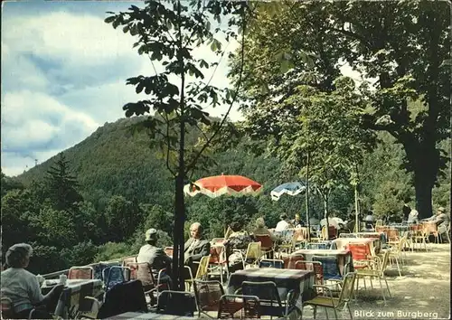 Bad Harzburg Waldgasthaus Sennhuette Kat. Bad Harzburg